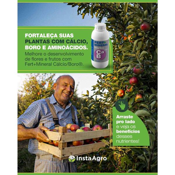 Benefícios do boro na floração e frutificação do morango