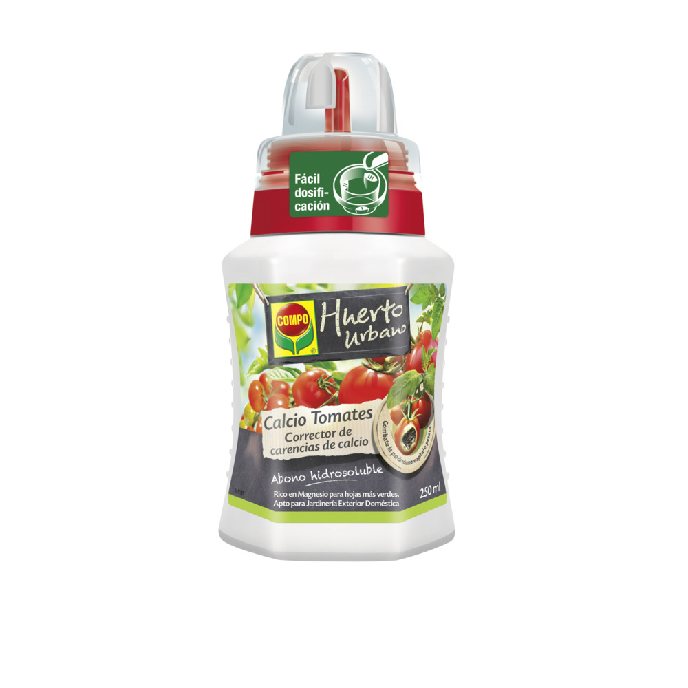 Como identificar a podridão apical em tomates