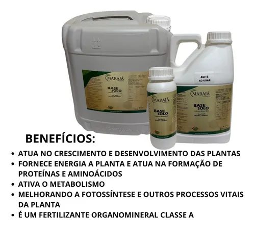 Como identificar a podridão apical em tomates