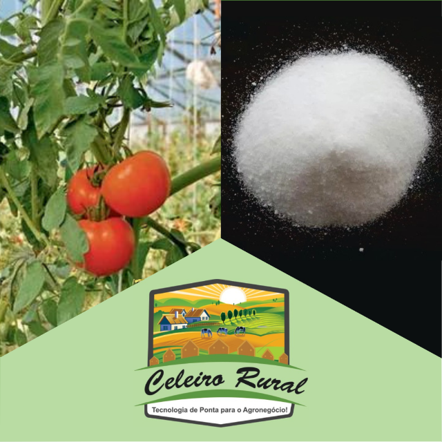 Guia completo de adubação orgânica para tomates