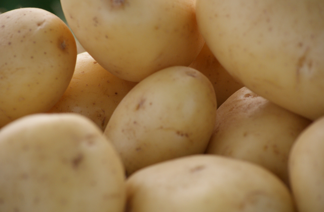 adubação de potássio para batata