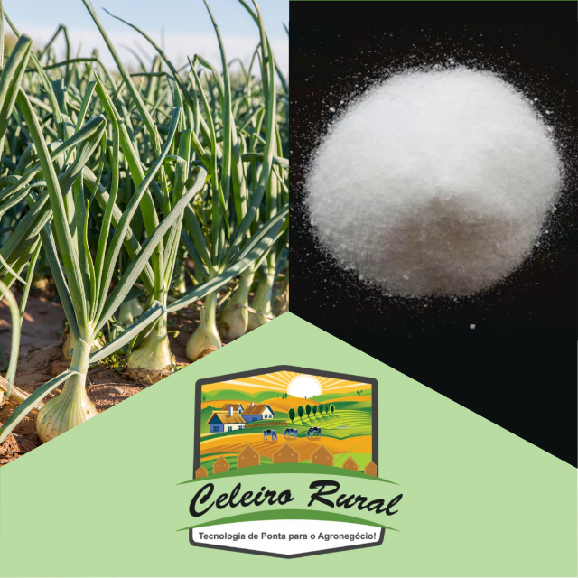 A importância do Sulfato de Potássio na cultura da cebola