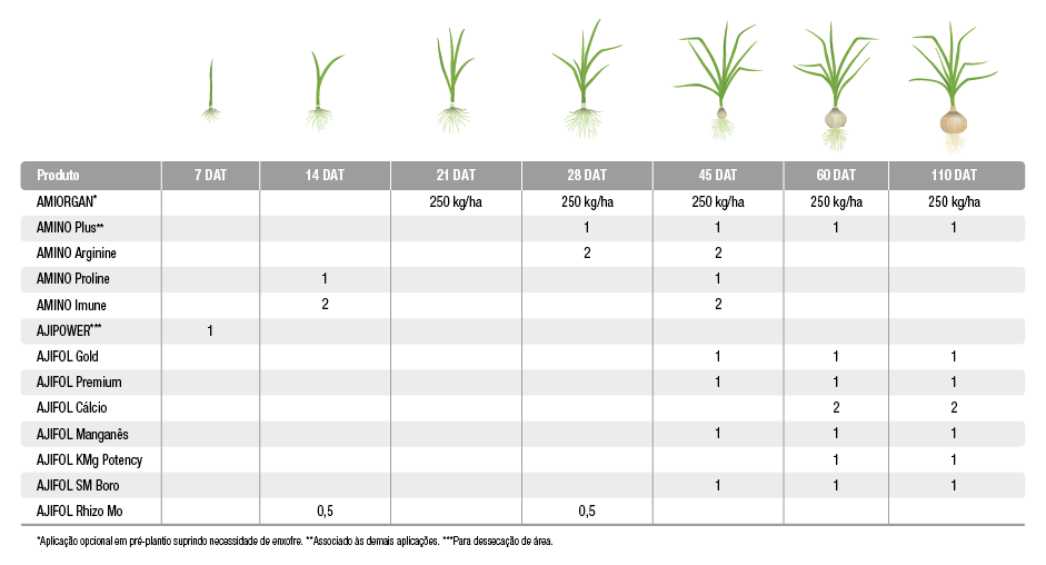 Fontes orgânicas de potássio para sua horta de cebola