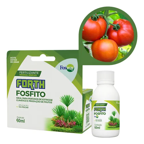 Guia Completo: Como Fazer a Adubação Potássica Perfeita para Tomateiros Saudáveis