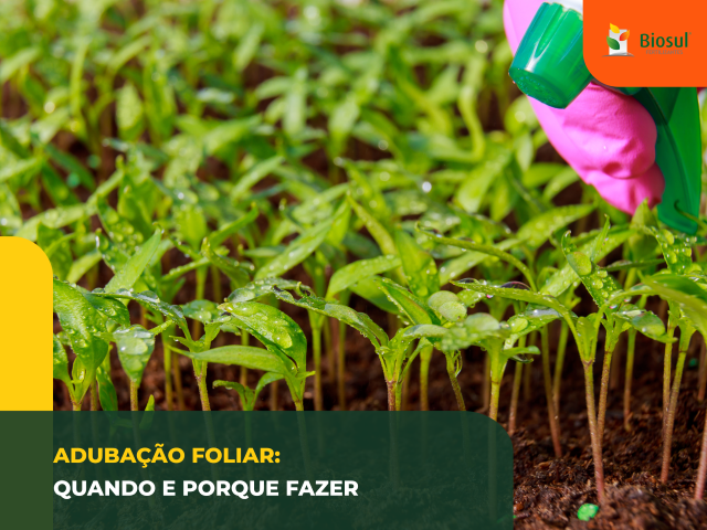 adubação foliar de ferro para hortaliças