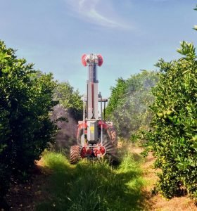 5 ideias de títulos:
1. Adubação Foliar de Magnésio: Guia Completo para Citros
2. Como Identificar e Corrigir a Deficiência de Magnésio em Laranjeiras
3. Melhores Fontes e Práticas para Adubação Foliar de Magnésio
4. A Importância do Magnésio na Frutificação dos Citros
5. Adubação Foliar vs. Solo: O Papel do Magnésio na Produtividade