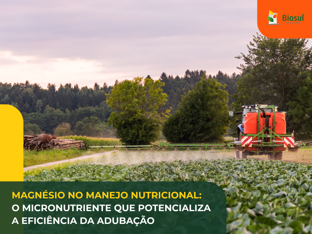 5 ideias de títulos:
1. Adubação Foliar de Magnésio: Guia Completo para Citros
2. Como Identificar e Corrigir a Deficiência de Magnésio em Laranjeiras
3. Melhores Fontes e Práticas para Adubação Foliar de Magnésio
4. A Importância do Magnésio na Frutificação dos Citros
5. Adubação Foliar vs. Solo: O Papel do Magnésio na Produtividade