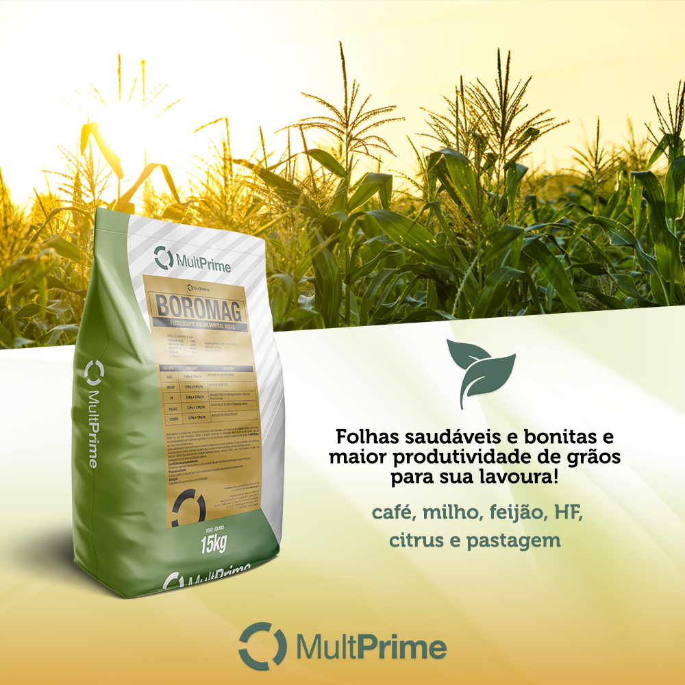 adubação foliar de magnésio para citros