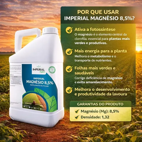 5 ideias de títulos:
1. Adubação Foliar de Magnésio: Guia Completo para Citros
2. Como Identificar e Corrigir a Deficiência de Magnésio em Laranjeiras
3. Melhores Fontes e Práticas para Adubação Foliar de Magnésio
4. A Importância do Magnésio na Frutificação dos Citros
5. Adubação Foliar vs. Solo: O Papel do Magnésio na Produtividade