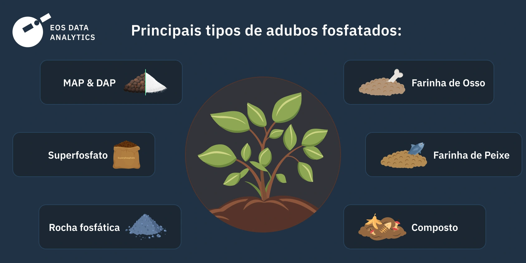 Guia Completo: Como Escolher o NPK Ideal para Cada Fase da Sua Planta