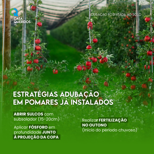 Farinha de Ossos: O Fertilizante Orgânico Essencial para Flores e Frutos
