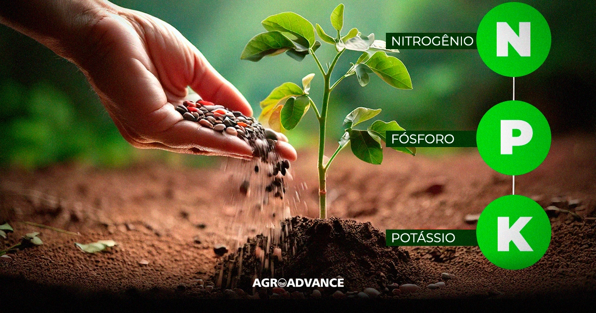 Guia Completo: Como Escolher o NPK Ideal para Cada Fase da Sua Planta