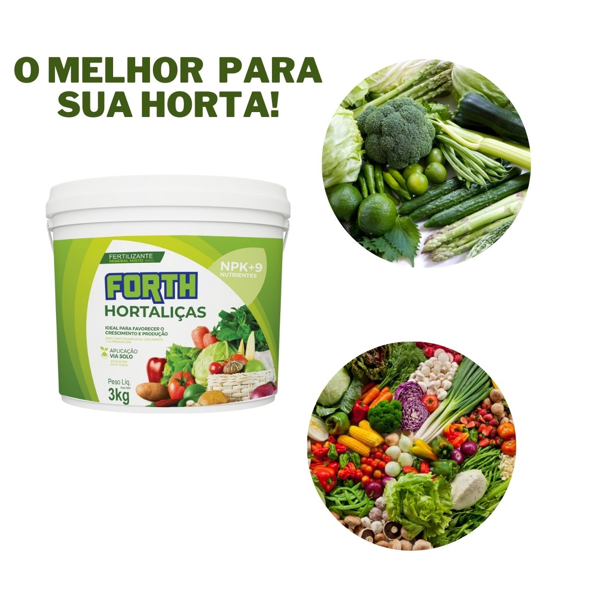 5 Tipos de Vasos Ideais para Plantar Temperos em Casa