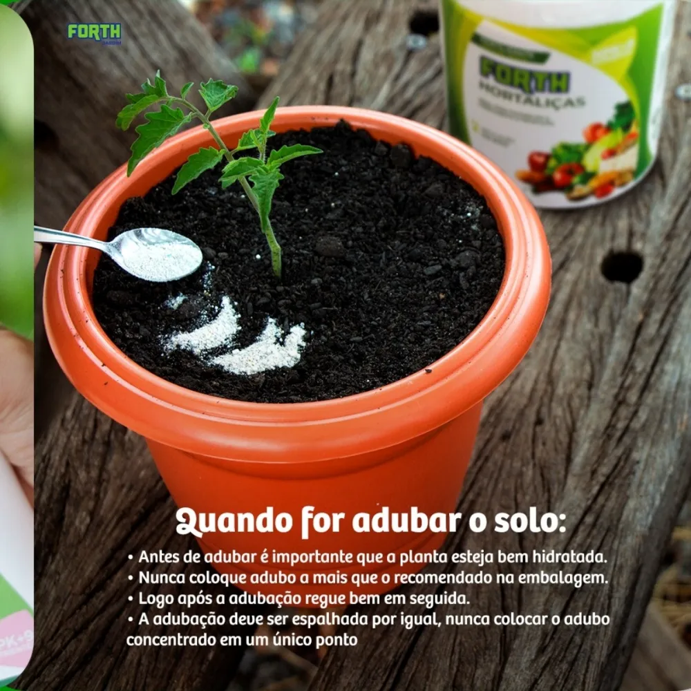 Como Identificar e Tratar Pragas Comuns em Hortas de Condimentos