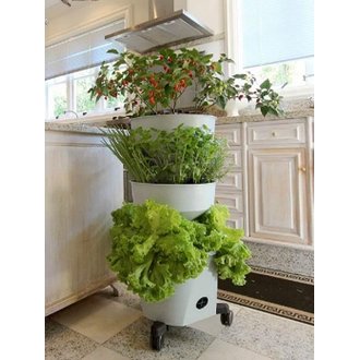 Guia Completo de Húmus de Minhoca para Vasos