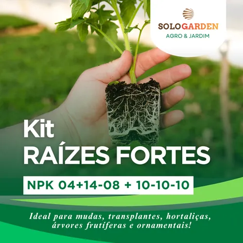 Manejo de salinidade com Cloreto de Potássio