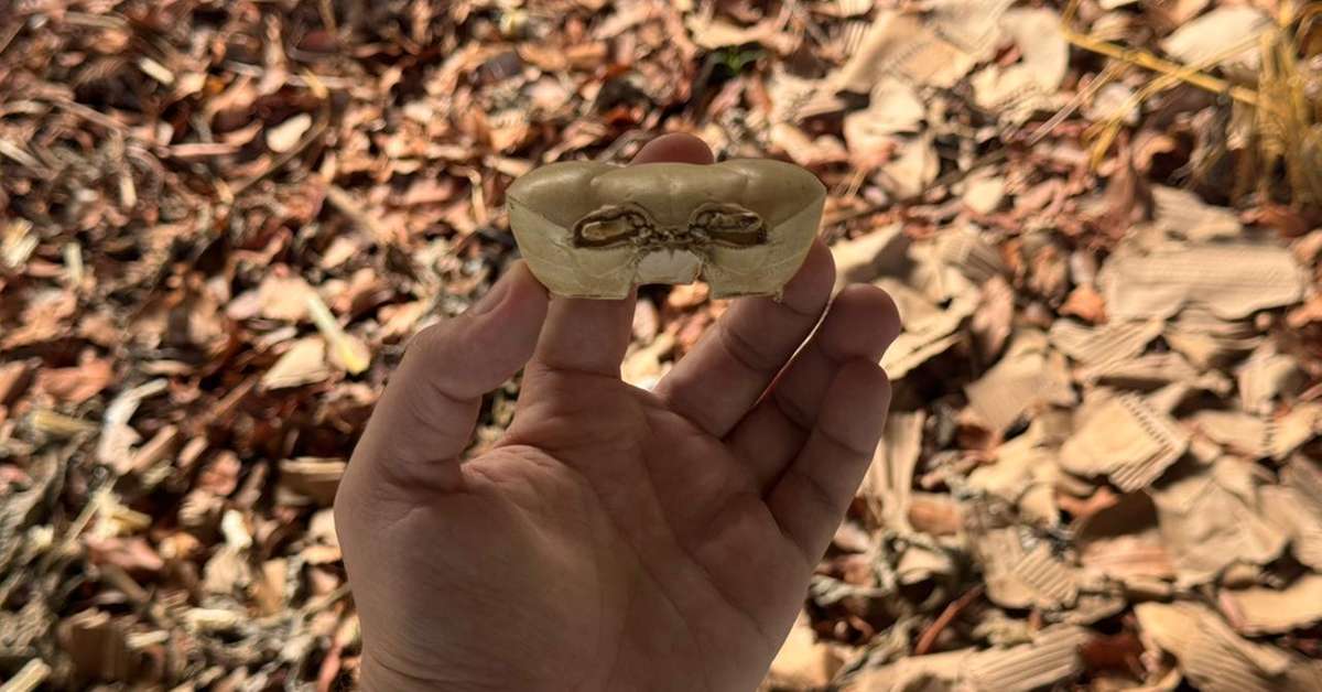 Controle Natural de Pragas com Adubo de Casca de Caranguejo