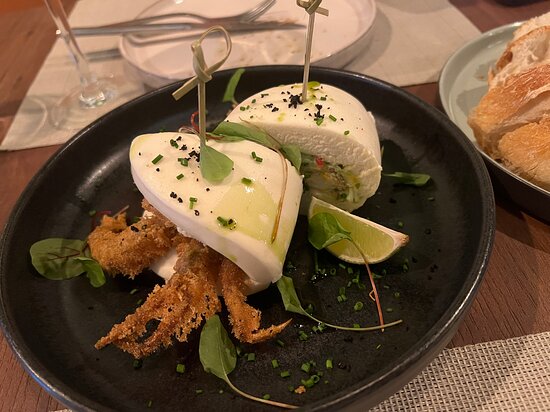 Dicas de Uso do Adubo de Casca de Caranguejo para Hortas e Vasos
