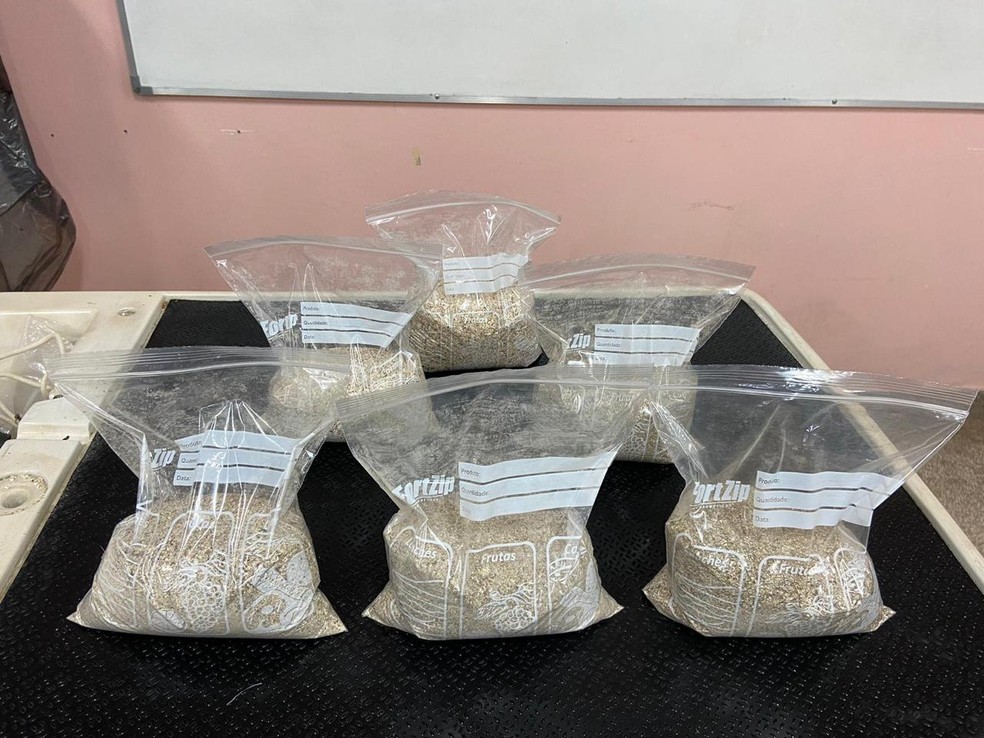 adubo de casca de caranguejo