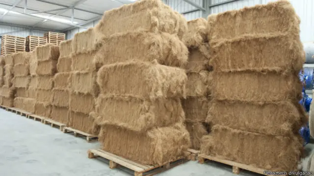 Os Perigos do Tanino na Casca de Coco e Como Evitá-los