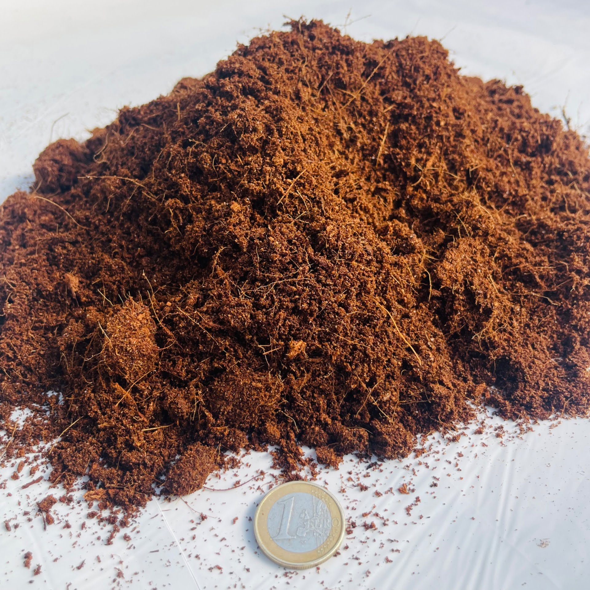 Guia Completo: Compostagem de Cascas de Coco para um Solo Rico