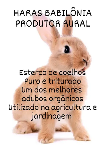adubo de esterco de coelho benefícios