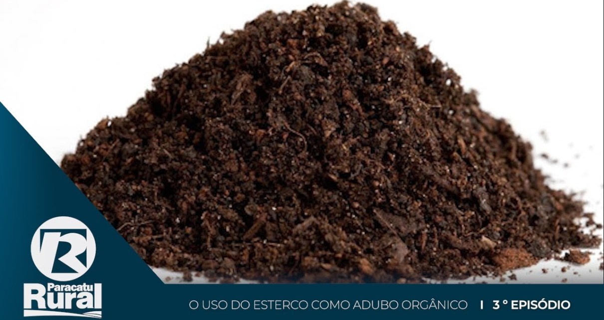 adubo de esterco de coelho benefícios