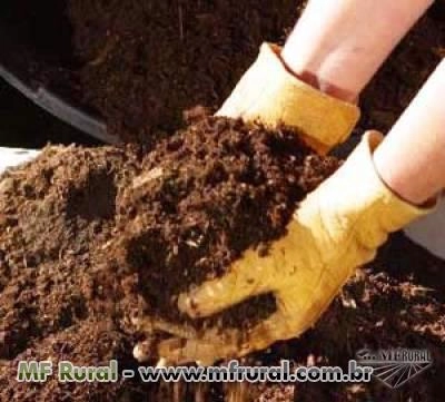 5 ideias de títulos:
1. Esterco de Coelho: O Ouro Negro para Sua Horta
2. Guia Completo: Como Utilizar Esterco de Coelho para um Jardim Saudável
3. Esterco de Coelho vs. Outros Adubos: Qual o Melhor para Suas Plantas?
4. Os Segredos do Esterco de Coelho: Nutrição e Cuidado do Solo
5. Transforme Sua Horta com Esterco de Coelho: Dicas Práticas e Benefícios