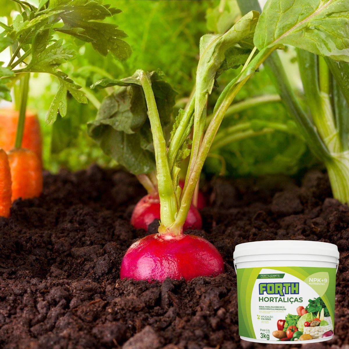 Receitas de adubos orgânicos caseiros com farinha de sangue