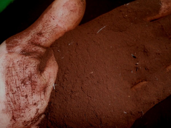 Receitas de adubos orgânicos caseiros com farinha de sangue