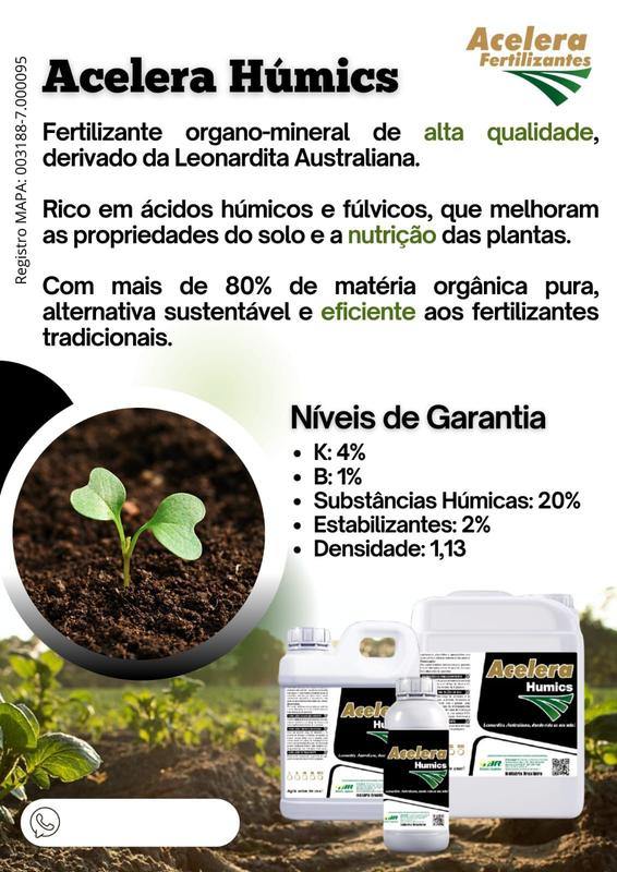 Leonardita na Hidroponia: Guia Completo para Nutrição de Cultivos