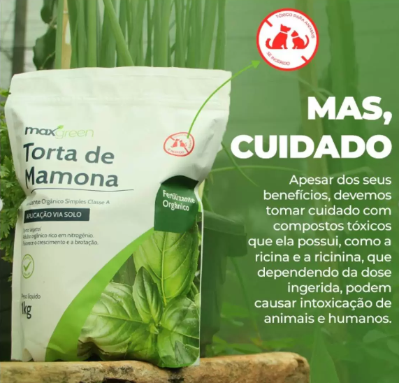adubo de torta de mamona cuidados