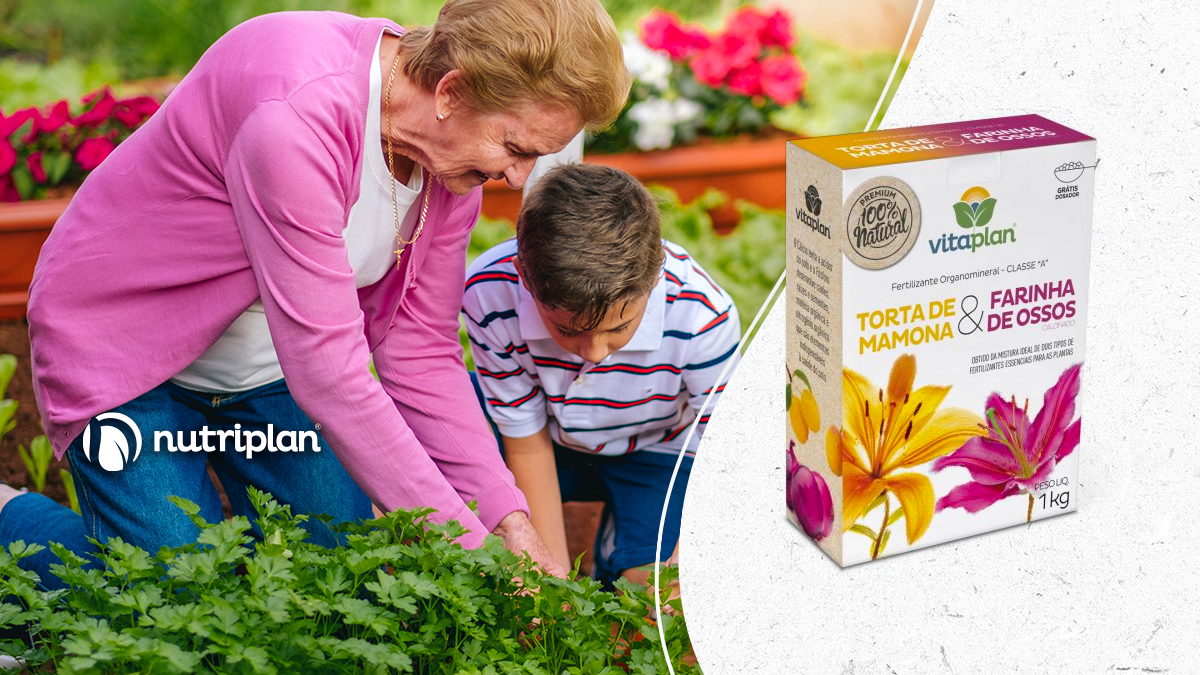 Como dosar torta de mamona para diferentes tipos de plantas