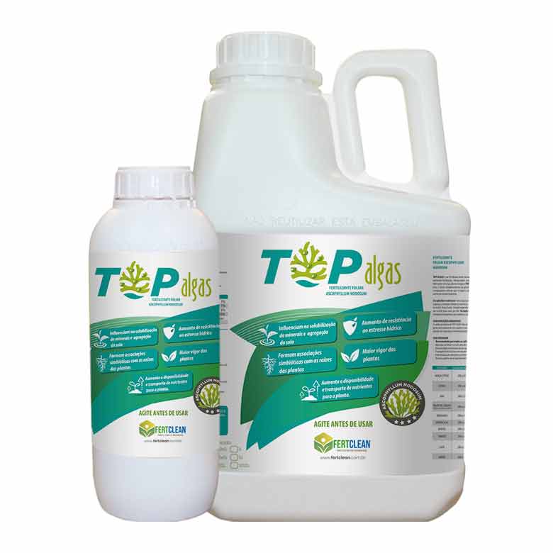 Guia Completo dos Benefícios do Adubo de Algas para Hortas Domésticas