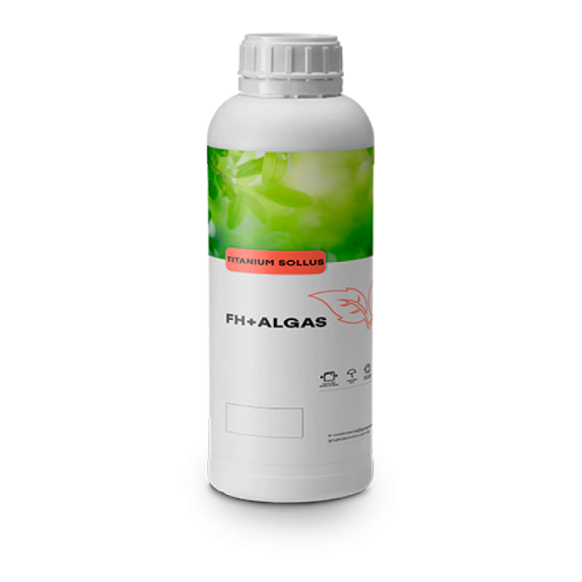 Os Melhores Adubos Foliar de Algas Marinhas para Cultivo Orgânico em 2024