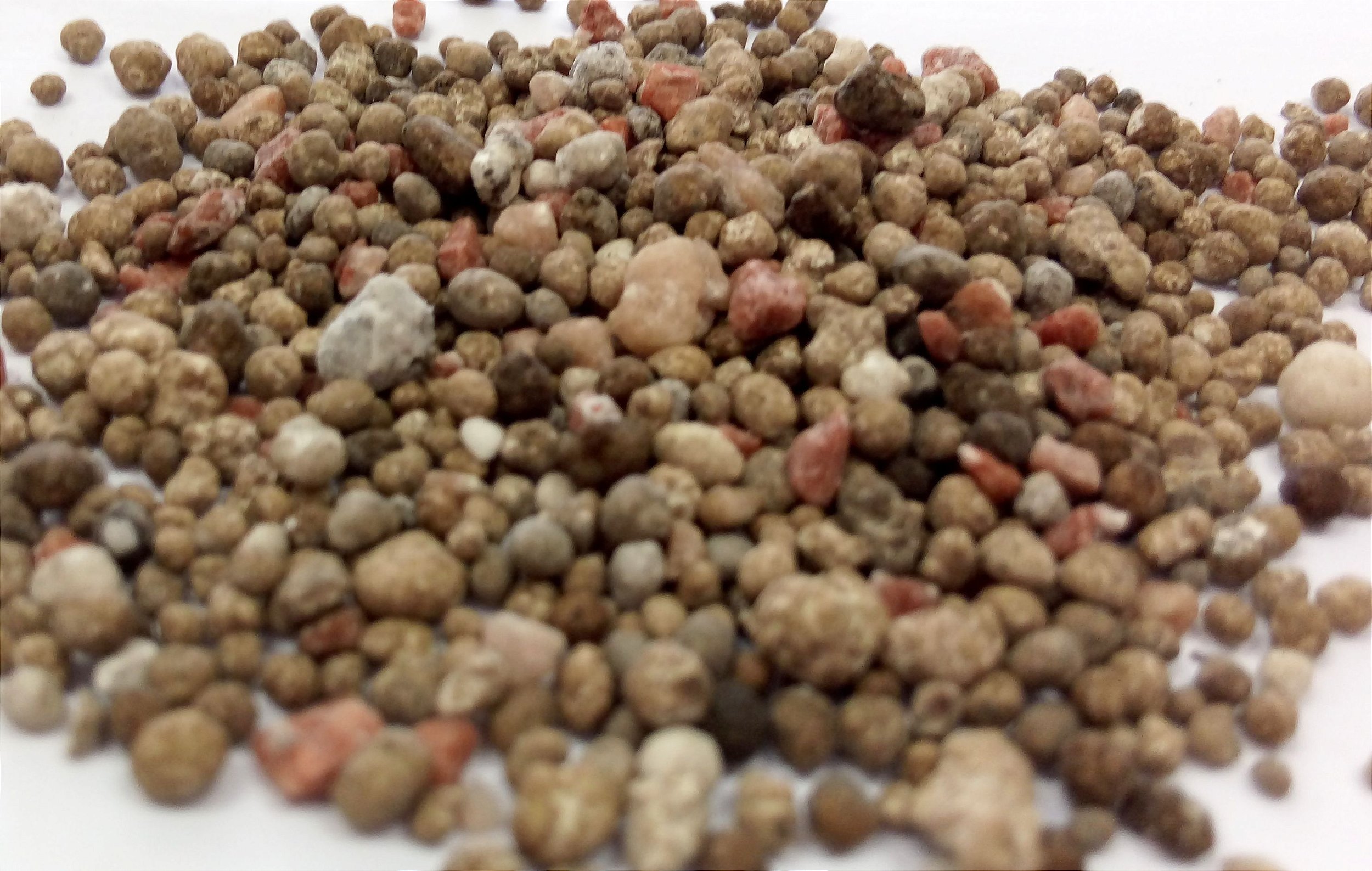 Como Usar Adubo NPK Caseiro em Orquídeas