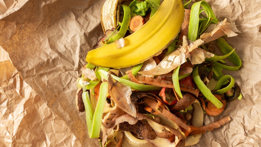 Métodos de Compostagem de Resíduos de Peixe para um Solo Mais Rico