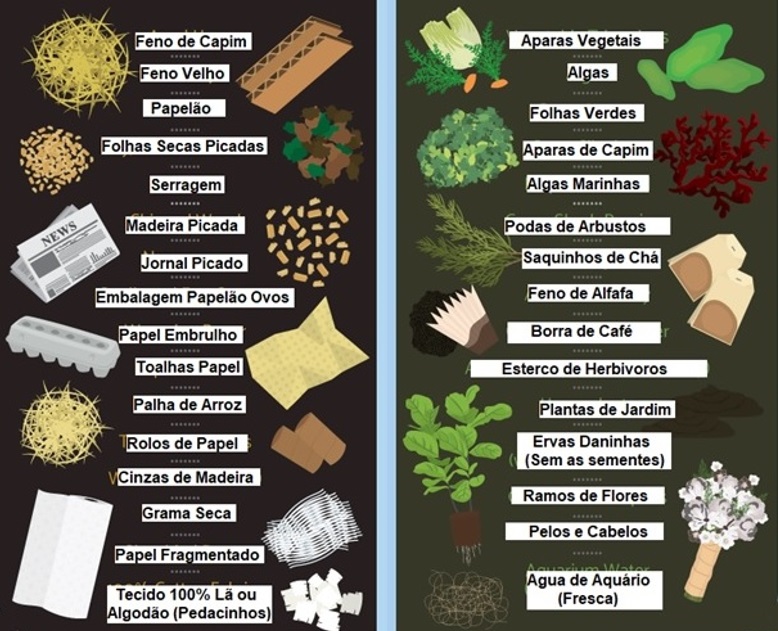 Adubo de Peixe: Solução Natural para Combater Estresses Hídricos nas Plantas