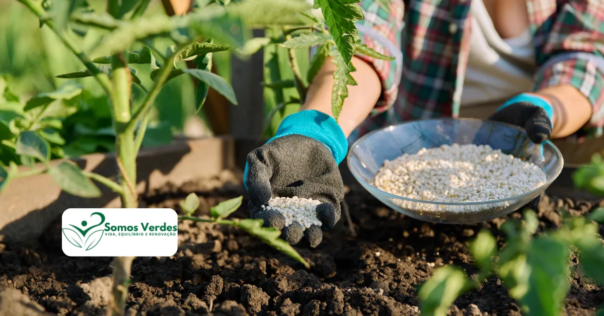 Guia completo de adubação orgânica para pepinos