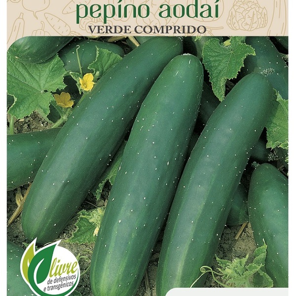 A importância do fósforo e potássio para a frutificação do pepino