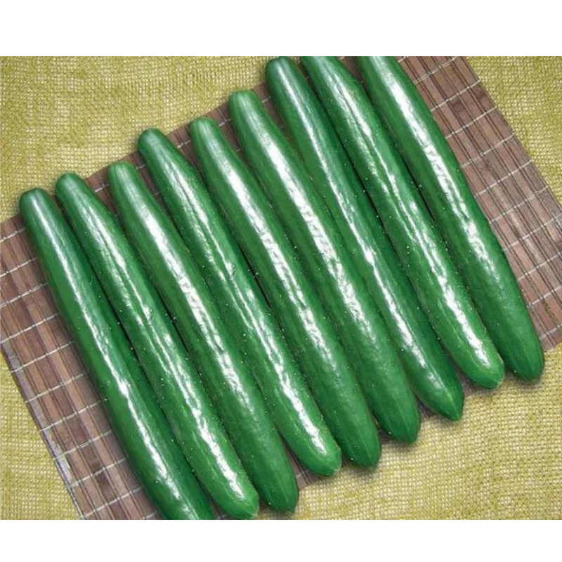 Adubação foliar: quando e como aplicar em pepinos