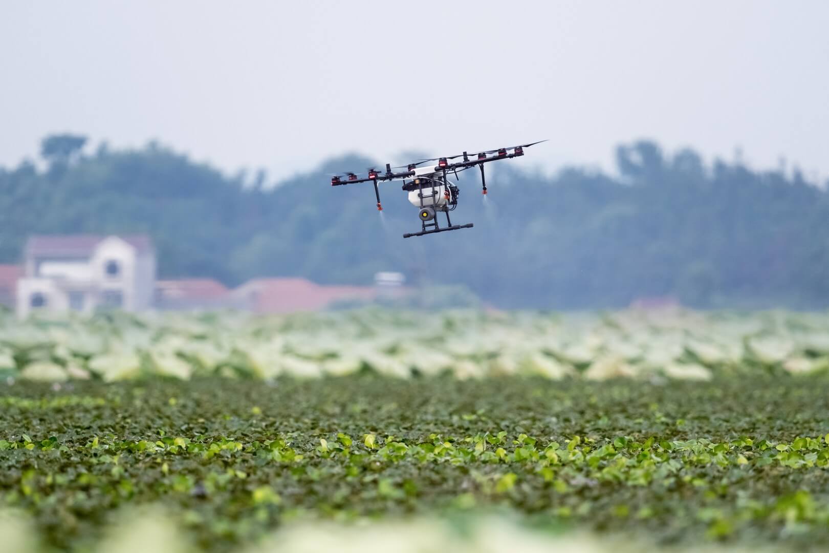 1. Agricultura de Precisão: Guia Completo para Iniciantes
2. Drones na Agricultura: Revolucionando o Monitoramento de Culturas
3. Benefícios da Agricultura de Precisão para Pequenos Produtores
4. Como a Tecnologia Está Transformando o Campo: Ferramentas Essenciais
5. Redução de Custos e Aumento de Produtividade com Agricultura de Precisão