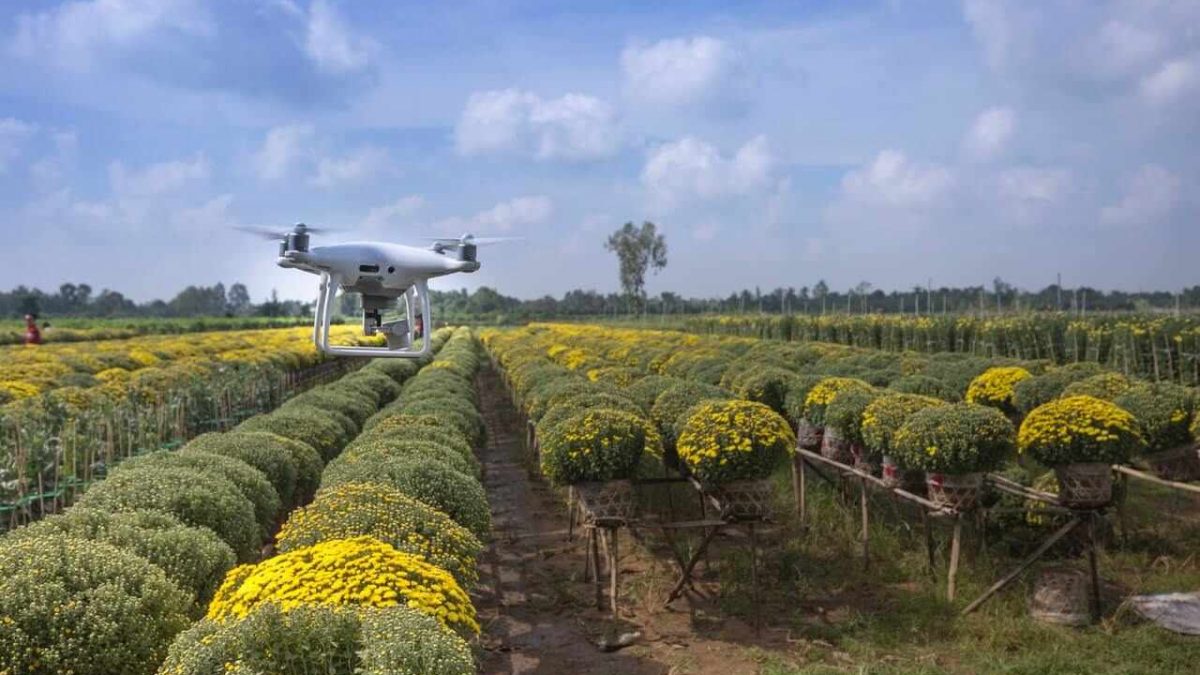 1. Agricultura de Precisão: Guia Completo para Iniciantes
2. Drones na Agricultura: Revolucionando o Monitoramento de Culturas
3. Benefícios da Agricultura de Precisão para Pequenos Produtores
4. Como a Tecnologia Está Transformando o Campo: Ferramentas Essenciais
5. Redução de Custos e Aumento de Produtividade com Agricultura de Precisão