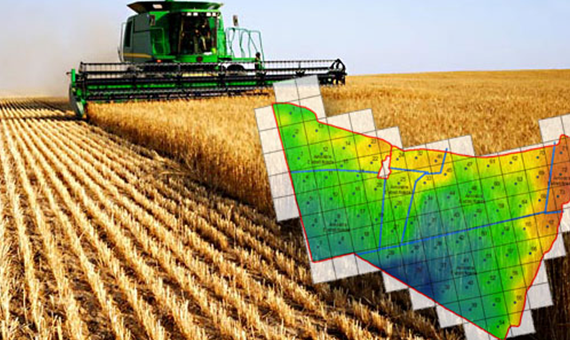 1. Agricultura de Precisão: Guia Completo para Iniciantes
2. Drones na Agricultura: Revolucionando o Monitoramento de Culturas
3. Benefícios da Agricultura de Precisão para Pequenos Produtores
4. Como a Tecnologia Está Transformando o Campo: Ferramentas Essenciais
5. Redução de Custos e Aumento de Produtividade com Agricultura de Precisão