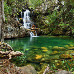 Hospedagem e Gastronomia
4. Experiências Místicas e Naturais na Chapada dos Veadeiros
5. Como Planejar sua Viagem para Alto Paraíso de Goiás