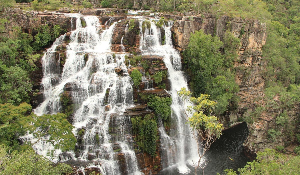 Hospedagem e Gastronomia
4. Experiências Místicas e Naturais na Chapada dos Veadeiros
5. Como Planejar sua Viagem para Alto Paraíso de Goiás