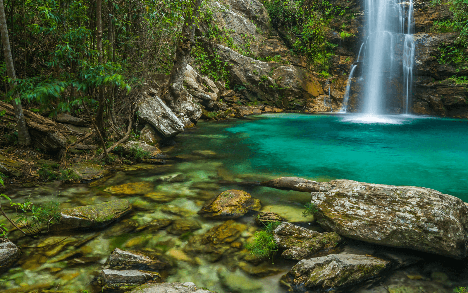 alto paraíso de goiás chapada veadeiros
