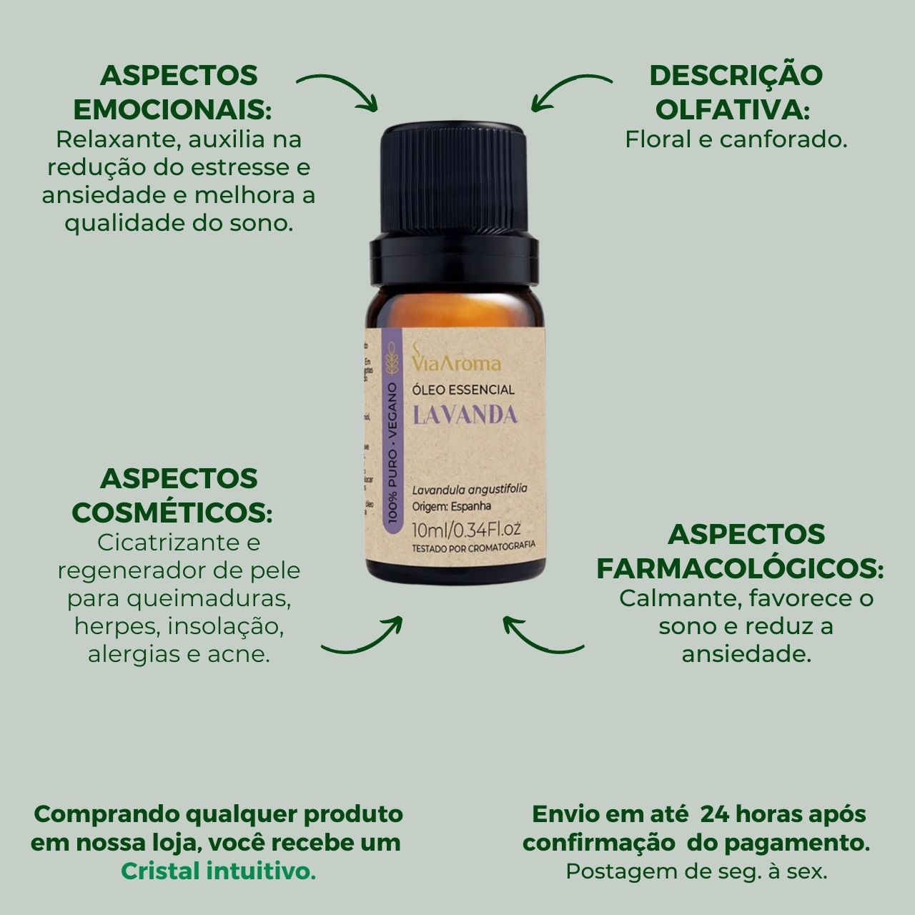 Lavanda na rotina de sono: Dicas para combater a insônia