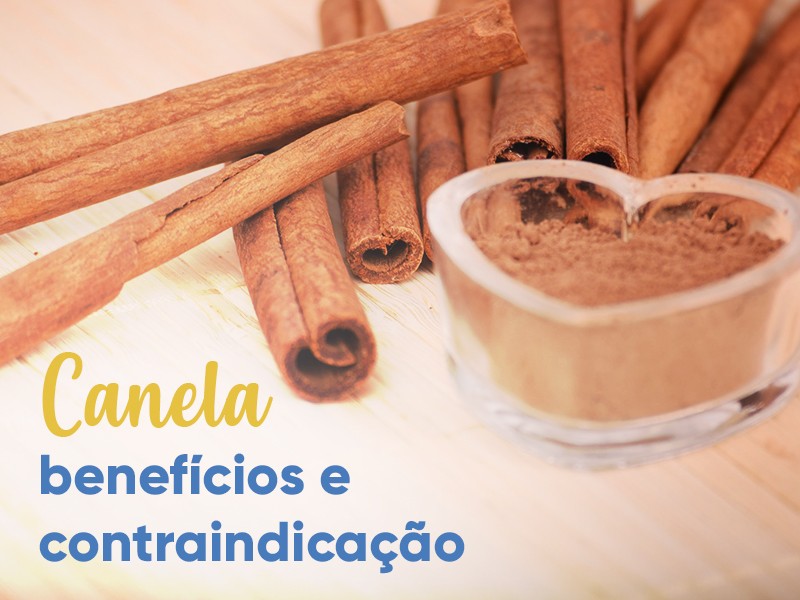 5 chás naturais para controle da diabetes