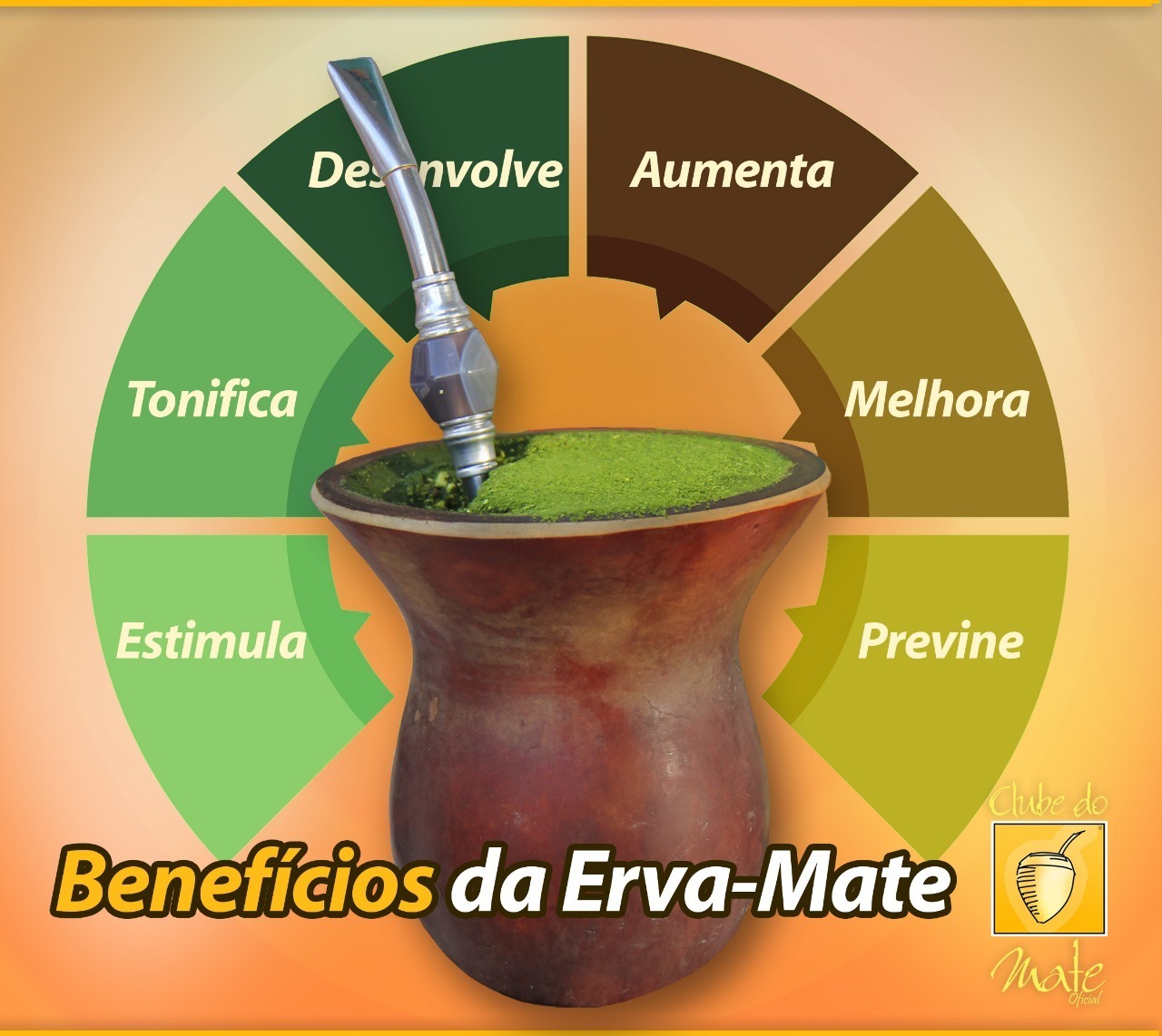 Erva-Mate: O Segredo Natural para um Foco Inabalável